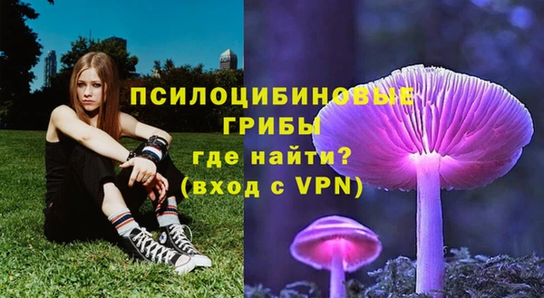mdpv Осинники
