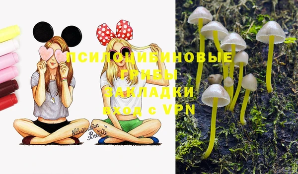 Альфа ПВП Алзамай