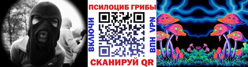 Псилоцибиновые грибы Magic Shrooms Электрогорск