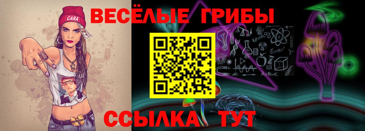 купить наркоту  Галлюциногенные грибы Cubensis  Вход с VPN  Электрогорск 